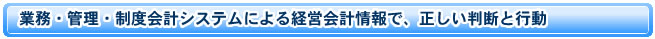 業務・管理・制度会計システムによる経営会計情報で、正しい判断と行動