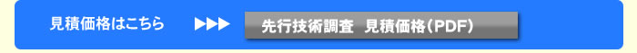 先行技術調査　見積価格（ＰＤＦ）