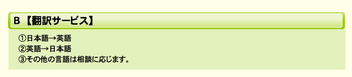 Ｂ【翻訳サービス】