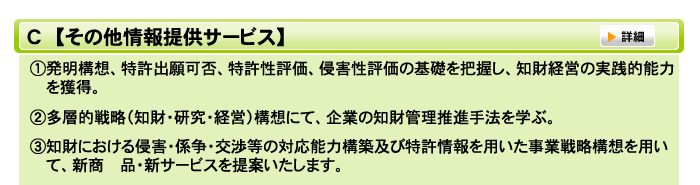 Ｃ【その他情報提供サービス】